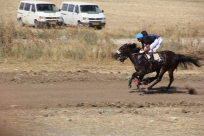 بالصور: لأول مرة في مدينة اللد - سباق للخيول بمشاركة خيالة من مختلف مناطق البلاد 